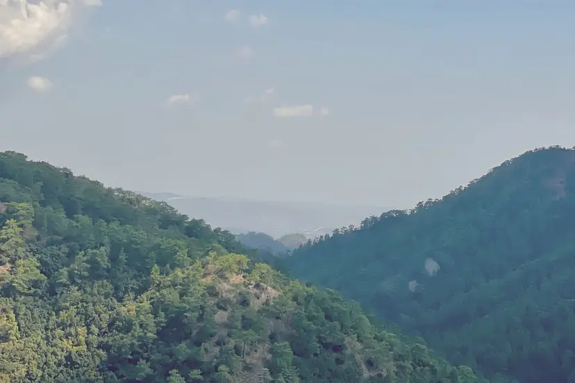 Οι δασωμένες πλαγιές του Τροόδους, μια κοιλάδα ανάμεσά τους και ο κάμπος μέσα στην αχλή
