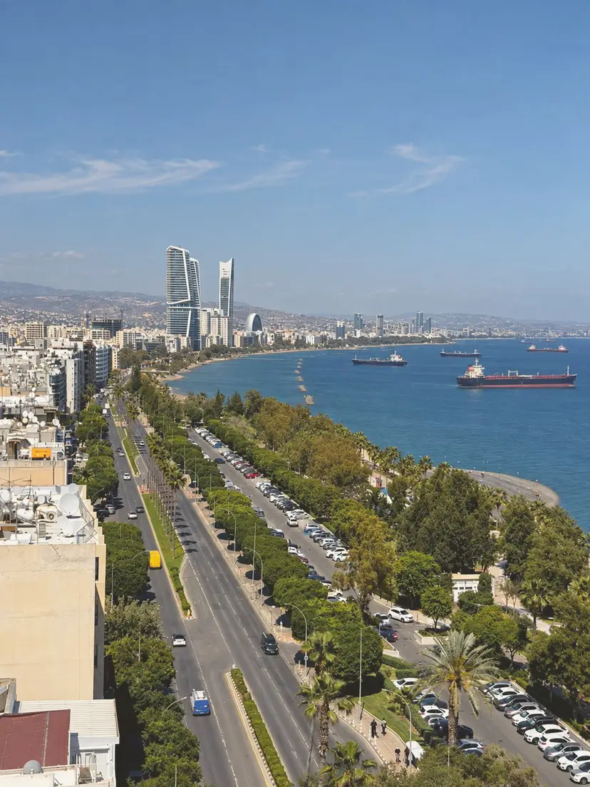 Η παραλία της Λεμεσού από ψηλά: ο παραλιακός δρόμος, μια λωρίδα δέντρων κατά μήκος της ακτής, η θάλασσα και δεξαμενόπλοια αγκυροβολημένα στα ανοιχτά